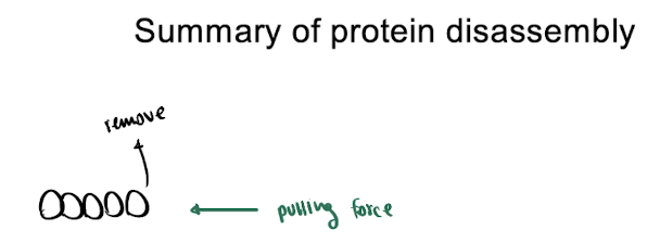 <p>= disassembly of large protein complexes → get movement </p><p></p><p>ex. shrinking MTs during anaphase - pulls chromosome to centrosome </p><img src="https://assets.knowt.com/user-attachments/01426617-a8db-436f-815a-8df9e51a3122.png" data-width="50%" data-align="center"><p></p>