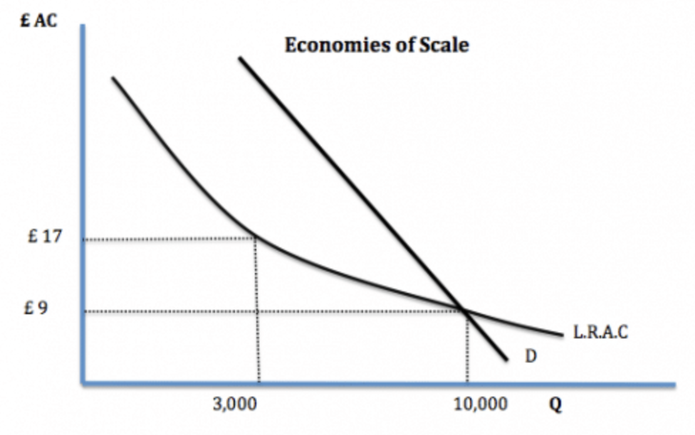 <p><strong>What is a natural monopoly?</strong></p>
