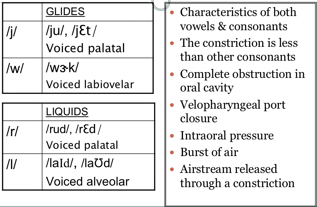<ul><li><p>resonance coming through the entire vocal tract </p></li><li><p>sound source at the vf </p></li><li><p>nasals, liquids, all glides = all voiced </p></li><li><p>all vowels </p></li></ul><p></p>