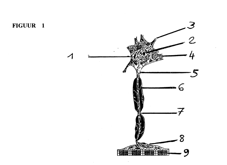 <p>2.</p>