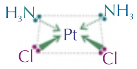 <p>Platin is square planar shape → forms cisplatin (90° bond angle)</p>