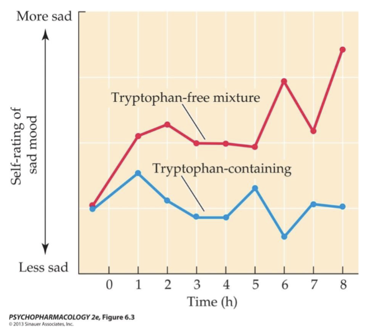 <p><strong>Increase</strong>: Synthesis can be modestly increased by giving subjects large doses of Trp or 5-HTP. Just eating the supplements isn’t enough since the amount getting into the brain depends on the ratio of tryptophan to other amino acids in a diet. High-protein, low-carb meals result in no changes but a low-protein and high-carb diet results in increased L-Trp to avoid competition with the available L-Trp. </p><p><strong>Decrease</strong>: Serotonin synthesis can also be partially diminished through diet via the Trp depletion test in which a “cocktail” of AAs w/o tryptophan is given which leads to temporary depletion of brain 5-HT (protein synthesis is stimulated so plasma Trp is diminished and the large neutral amino acids inhibit entry of remaining Trp to the brain) </p>