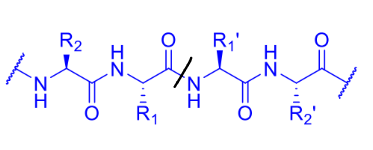 <p>label this to describe the residues on either side of the cleavage site as well as where the binding pockets are</p>