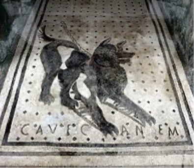 <p>(date, location, description, comparisons)</p>