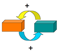 <p>It is feedback loop that amplifies and promotes the initial signal.</p><p>Example: MyoD - The initial production of MyoD targets muscle specific genes and thus produces itself.</p>