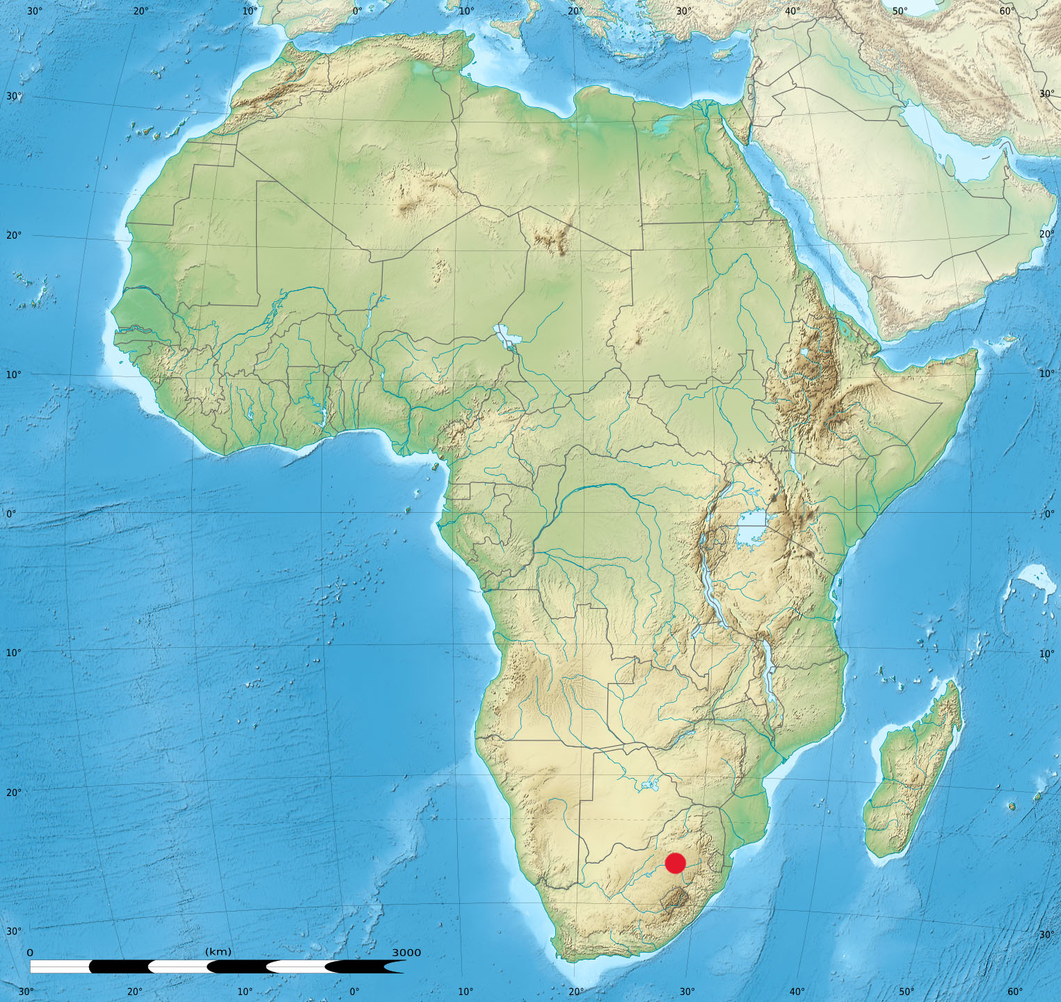 term image