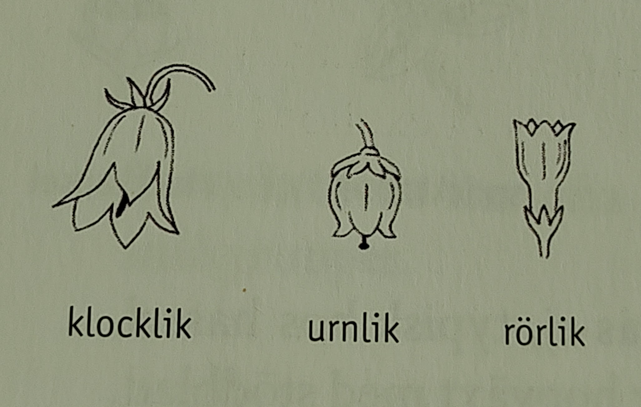<p></p>