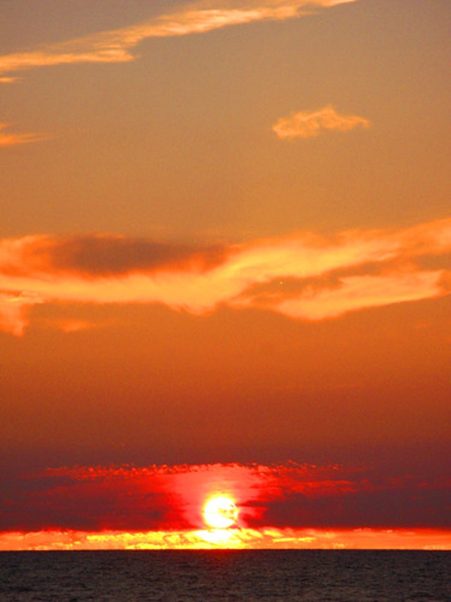 <p>in the morning</p>