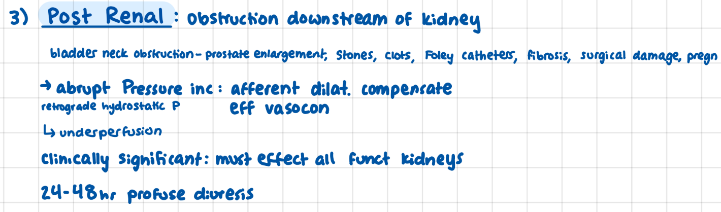 <p>abrupt BP inc </p><p>afferent dilate to compensate > underperfusion</p><p>efferent change to avoide damage</p>