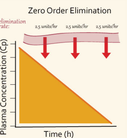 <p>A <span style="color: yellow;"><strong>constant amount of drug is eliminated per unit time</strong></span> (no half-life; occurs when the enzyme is <strong>saturated</strong> — more drug than enzyme).</p><p>.</p><ul><li><p>Classic example: <span style="color: rgb(255, 172, 0);"><strong>alcohol (~1 gram/hour)</strong></span>. Also aspirin, phenytoin, warfarin, heparin, theophylline.</p></li></ul><p></p>