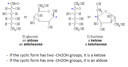 <p>6 membered rings = pyranose</p><p>5 membered rings - furanose</p>