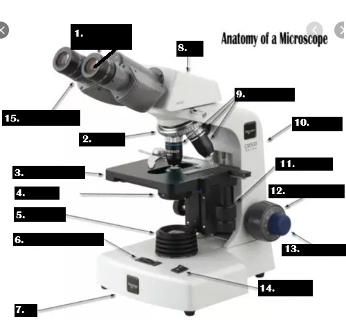 <p>1.</p>
