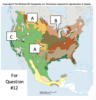 <p>Indicate the predominant type of agriculture in Region C on the map</p>
