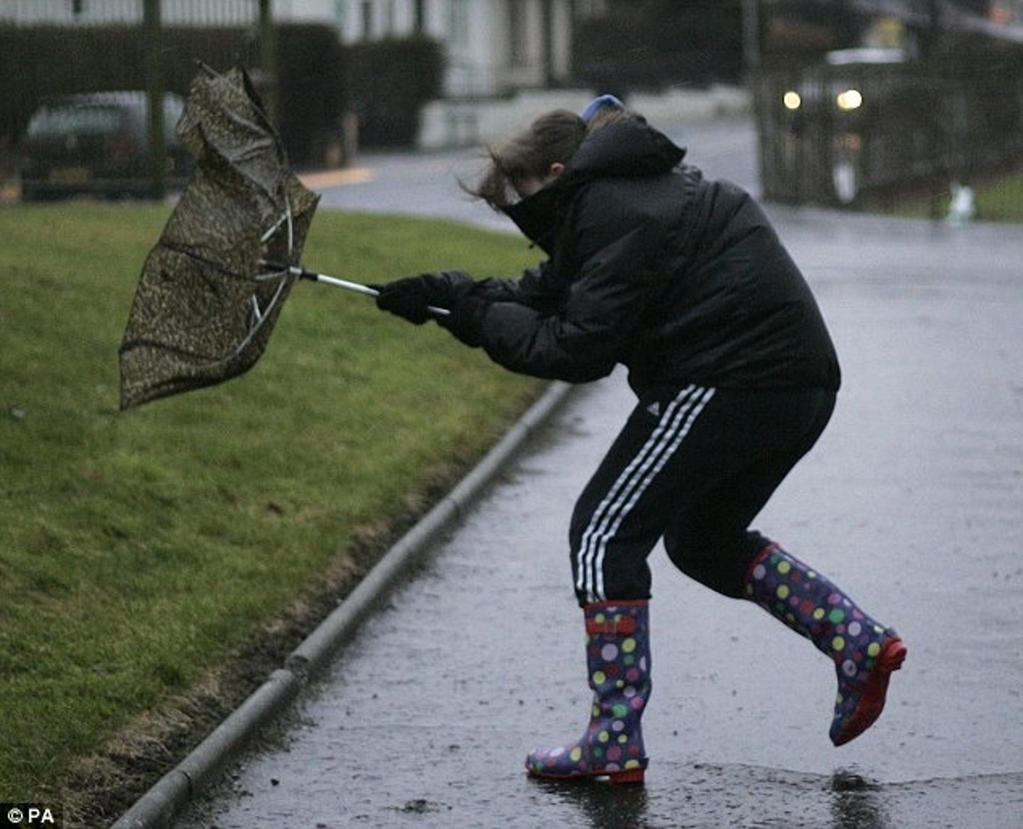 <p>extremely strong wind</p>