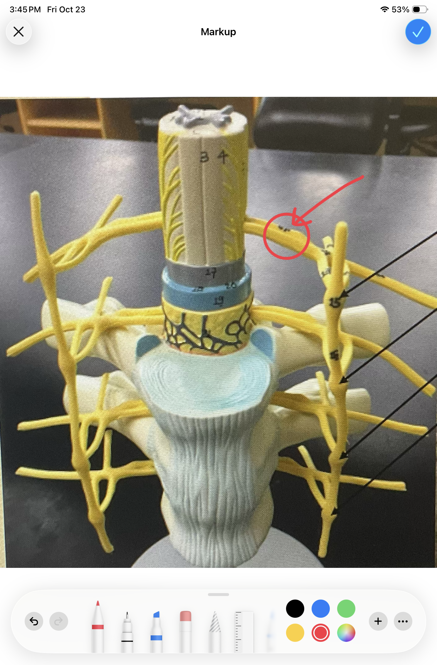 <p>Identify this structure </p>