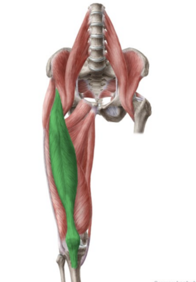 term image