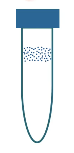 <p>microaerophile</p>