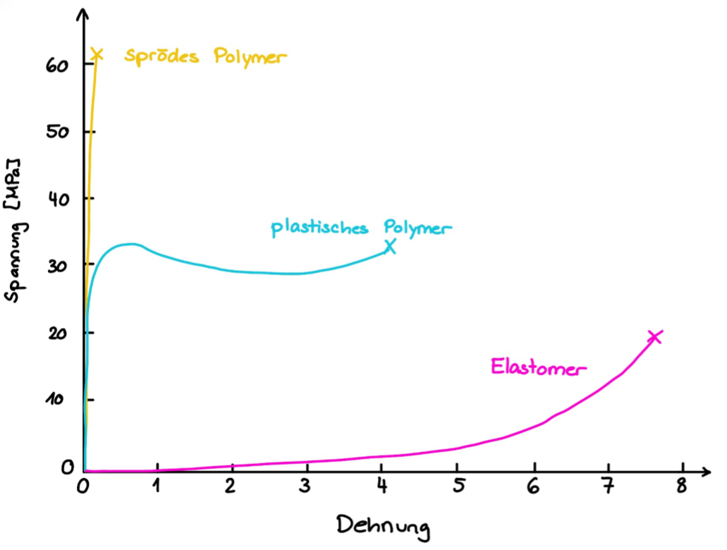 <p>a) Sprödes Polymer</p><ul><li><p><strong>Mechanische Antwort:</strong> Dieses Polymer besitzt einen sehr hohen E-Modul (steile Kurve zu Beginn) und eine hohe Zugfestigkeit, bricht jedoch extrem spröde bei sehr geringer Dehnung (kaum bis keine plastische Deformation).</p></li><li><p><strong>Mikrostruktur-Bezug:</strong> Das Verhalten resultiert aus einer <strong>hohen Vernetzungsdichte</strong> (z. B. bei Duroplasten) oder starken intermolekularen Kräften weit unterhalb der Glasübergangstemperatur. Die molekulare Beweglichkeit der Polymerketten ist so stark eingeschränkt, dass unter Last keine Kettenabgleitungen stattfinden können; die Energie führt stattdessen direkt zum makroskopischen Bindungsbruch.</p></li></ul><p>b) Plastisches amorphes Polymer</p><ul><li><p><strong>Mechanische Antwort:</strong> Es zeigt zunächst ein linear-elastisches Verhalten mit moderatem E-Modul. Nach dem Erreichen der Streckgrenze (<em>Yield Point</em>) kommt es zu einem Spannungsabfall und einer ausgeprägten plastischen (irreversiblen) Deformation (oft verbunden mit <em>Neck-In</em> / Einschnürung), bevor das Material versagt.</p></li><li><p><strong>Mikrostruktur-Bezug:</strong> Die anfängliche Elastizität resultiert aus der moderaten Streckung der verschlauften, amorphen Polymerketten. Wird die Fliessspannung überschritten, reicht die thermische/mechanische Energie aus, um intermolekulare Nebenvalenzkräfte zu überwinden. Die Ketten Segmente beginnen aneinander vorbeizugleiten und sich in Zugrichtung auszurichten, bis die Verschlaufungen (<em>Entanglements</em>) maximal gespannt sind und das Polymer bricht.</p></li></ul><p>c) Elastomer</p><ul><li><p><strong>Mechanische Antwort:</strong> Elastomere zeigen einen sehr niedrigen initialen Elastizitätsmodul, können aber extrem weit elastisch gedehnt werden (oft mehrere hundert Prozent). Die Kurve verläuft flach und steigt erst kurz vor dem Bruch exponentiell an (Verfestigung).</p></li><li><p><strong>Mikrostruktur-Bezug:</strong> Elastomere bestehen aus weitmaschig (schwach) vernetzten, hochgradig ungeordneten (knäuelartigen) Polymerketten oberhalb ihrer Glasübergangstemperatur. Bei Zugspannung entknäueln sich diese Ketten unter geringem Kraftaufwand (<strong>Entropieelastizität</strong>). Erst wenn die Ketten vollständig gestreckt und parallel ausgerichtet sind, müssen die kovalenten Hauptvalenzbindungen und die chemischen Vernetzungspunkte direkt die Last tragen, was zu einem steilen Spannungsanstieg bis zum Bindungsbruch führt.</p></li></ul><p></p>