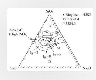 <p>Composition: Impact Bioactive glasses' composition affects integration. Layer Formation: Certain compositions form CaO/P2O5 and SiO2 layers. Precipitation: Promotion Promotes calcium-phosphate precipiation.</p><p>Bioactive glasses are unique because they don't just "sit" in the body; they undergo a controlled corrosion process that leads to <strong>Layer Formation</strong>. <strong>The Process:</strong> When these glasses touch body fluid, they release specific ions that form a <strong>SILICA</strong>-<strong>rich </strong>(<span>SiO_2</span>) <strong>layer</strong>, followed by a calcium-phosphate (<span>CaO/P_2O_5</span>) layer. <strong>Precipitation Promotion:</strong> This layer eventually CRYSTALLIZES into <strong>hydroxyapatite</strong>—the same mineral that makes up your bones and teeth. <strong>This allows the bone to bond directly to the glass</strong>!!!</p><p></p><p>The triangle on the left is a <strong>Ternary Plot</strong> used to show how changing the recipe of the glass changes its biological behavior. The three corners represent:</p><p><span><strong>SiO_2</strong></span><strong> (Silica):</strong> The "glass former." Too much of this makes the glass inert (like a window pane).</p><p><span><strong>CaO</strong></span><strong> (Calcium Oxide):</strong> Essential for forming the bone-like layer.</p><p><span><strong>Na_2O</strong></span><strong> (Sodium Oxide):</strong> Helps the glass dissolve at the right speed.</p>