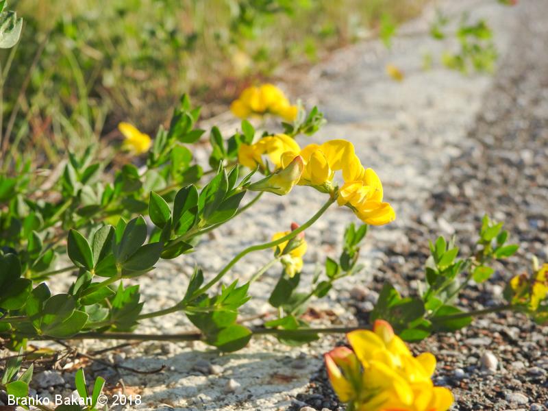 <p></p>