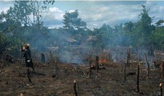 <p>a farming technique in which trees are cut down and burned to clear and fertilize the land</p>