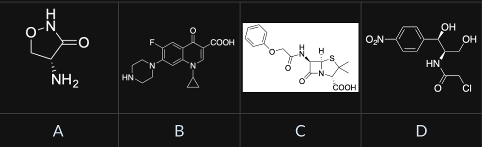 <p><span>Which of the following structures is a beta-lactam?</span></p>