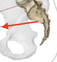 <p>What is the structure?</p>