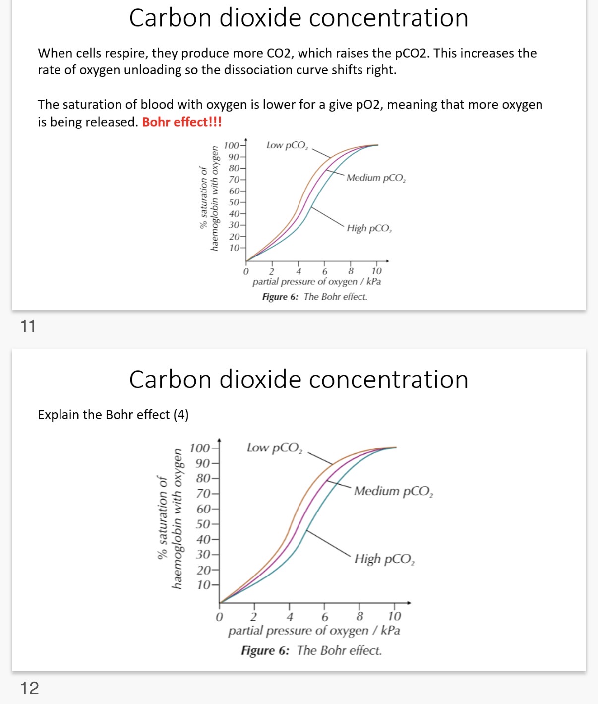 <p><strong>Carbon dioxide concentration</strong></p><p>The partial pressure of carbon dioxide (pCO2) is a measure of the …1?</p><p>•The pCO2 also affects oxygen …2?. •Haemoglobin gives up its oxygen more readily at a …3? pCO2 (it's a way we get more oxygen to cells during activity)</p><p>•When cells respire they produce …4? CO2, which raises the pCO2. This increases the rate of oxygen …5? so the dissociation curve shifts …6?.</p><p>•The saturation of blood with oxygen is …7? for a given pO2, meaning that more …8? is being released. Bohr effect!!!</p><p></p><ol start="9"><li><p>Explain the Bohr effect? (4)</p></li><li><p>Describe and explain the effect of increasing carbon dioxide concentration on the dissociation of oxyhaemoglobin?</p></li></ol><p></p>