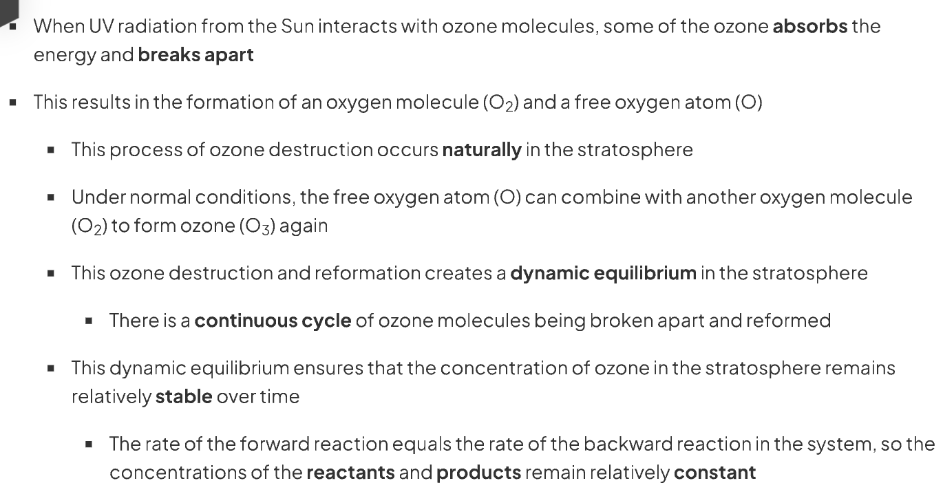 <p>concentration of ozone in the atmosphere is relatively constant due to steady state equilibrium. </p>