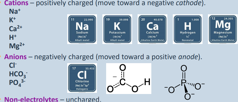 <p>• Dissolved compounds dissociate into ions.</p><p><strong>Cations </strong>– positively charged (move toward a negative cathode).</p><p>Na<sup>+</sup></p><p>K<sup>+</sup></p><p>Ca<sup>2+</sup></p><p>H<sup>+</sup></p><p>Mg<sup>2+</sup></p><p></p><p><strong>Anions </strong>– negatively charged (moved toward a positive anode).</p><p>ClHCO<sup>3-</sup></p><p>PO4<sup>3-</sup></p><p></p><p><strong>Non-electrolytes</strong> – uncharged.</p><p>Urea</p><p>Glucose</p><p>Amino acids (some)</p>