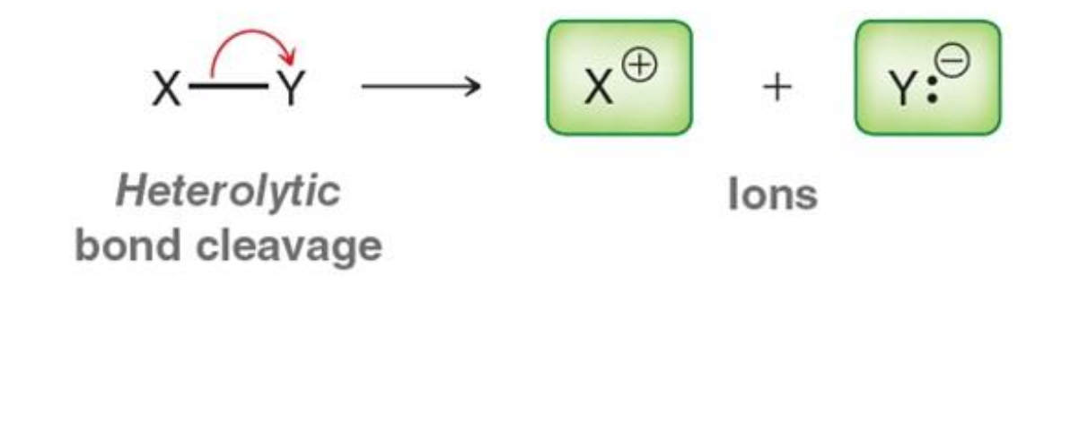 <p>Ions (cation and anion)</p>