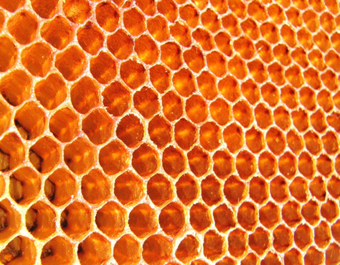 <p>honeycomb cell and cubed pyrite</p>