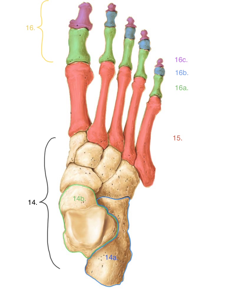 <p>16b.</p>