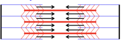 <p>Cross bridges begin to pull the actin filaments towards the middle</p>
