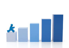 <p>information that is collected and recorded in the form of charts or graphs</p>