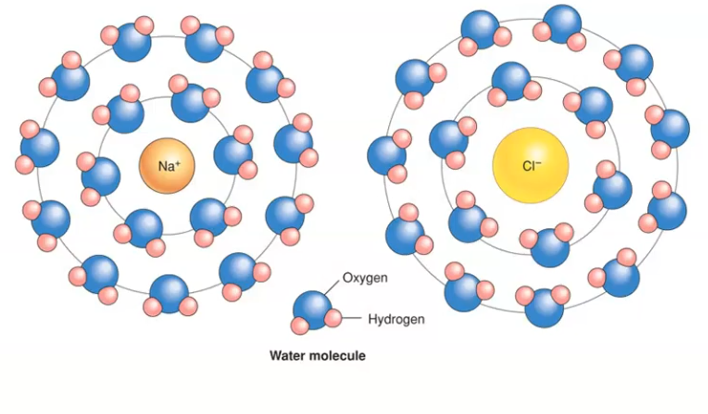 <p>What happens to ionic bonds in water?</p>