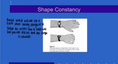 <p>What is shape constancy?</p>