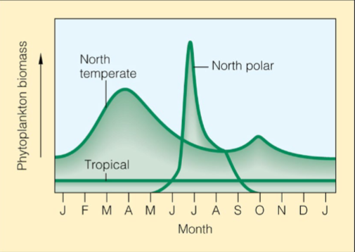 <p>Why is the tropical productivity so low and flat?</p>