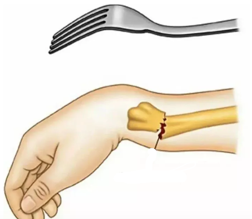 <p></p>