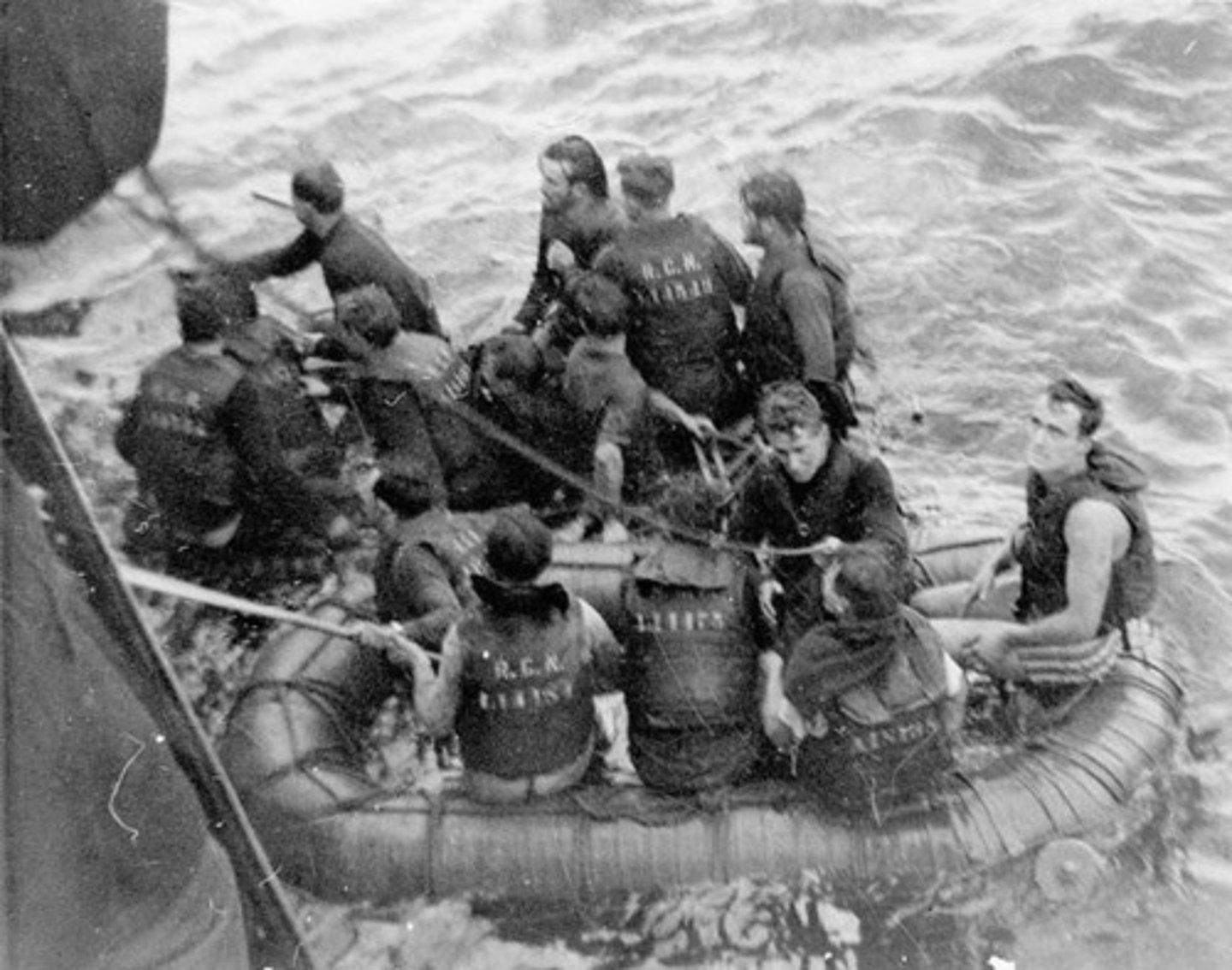 <p>Que sobrevive</p>