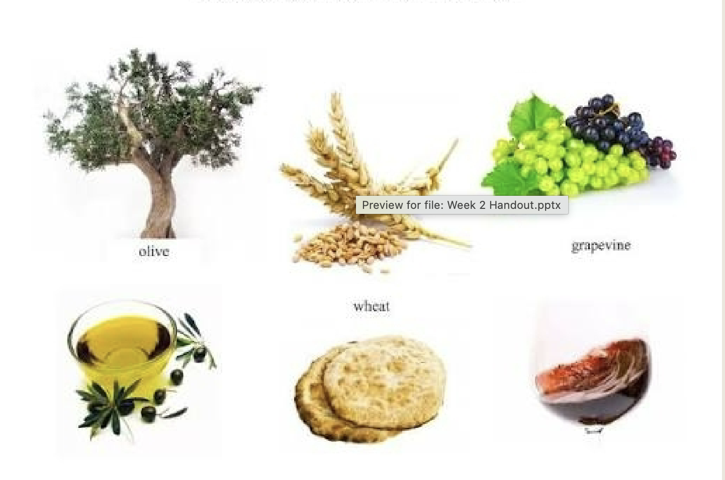 <p>What are the things in this picture known as?</p>