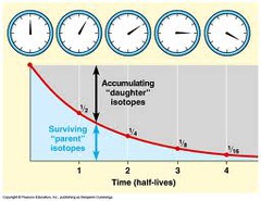 <p>Gives an idea of when a given event took placed based on decay of naturally occurring radioactive elements.</p>