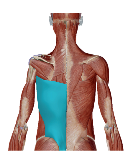 term image