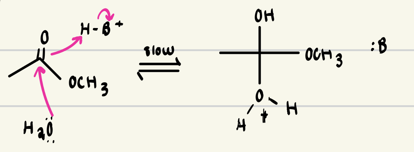 <p>is this the first slow step of specific or general acid?</p>