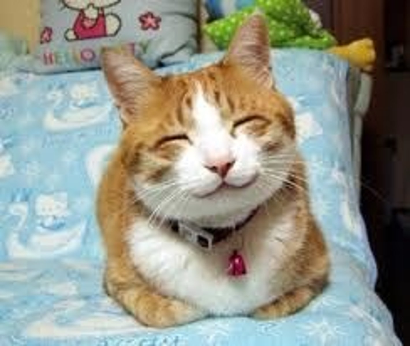 <p>Are you happy?</p>