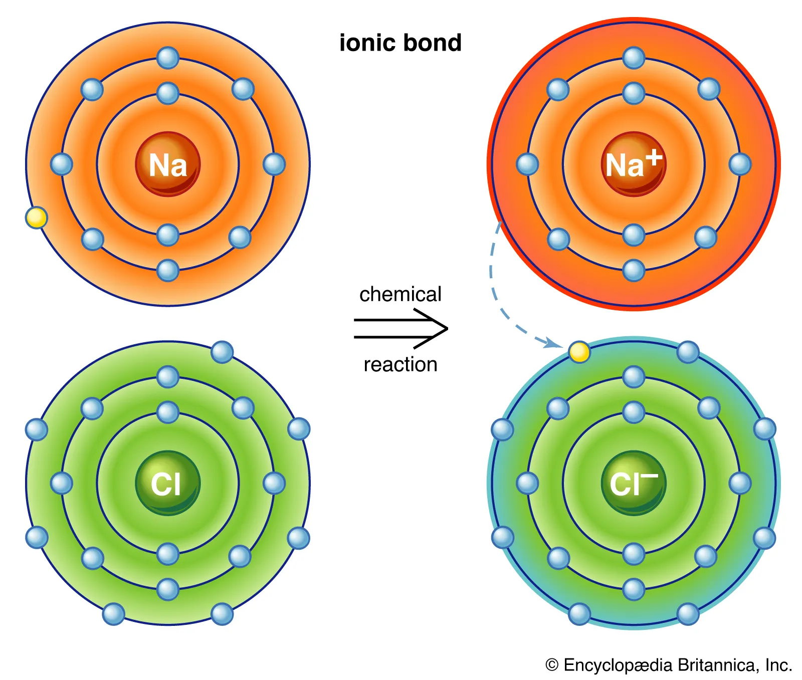 <p><span style="background-color: transparent;">formed when an electron is transferred from one atom to another</span></p>