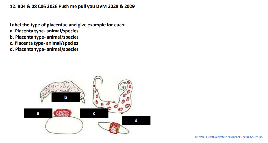 <p>Label the type of placentae and give example for each:</p><p>a. Placenta type- animal/species</p><p>b. Placenta type- animal/species</p><p>c. Placenta type- animal/species</p><p>d. Placenta type- animal/species</p>