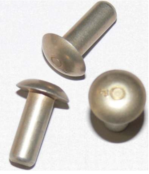 <p>A raised circle on the head.</p>