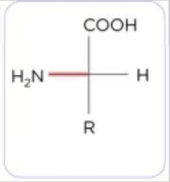 <p>Which enantiomer configuration is this Amino Acid?</p>
