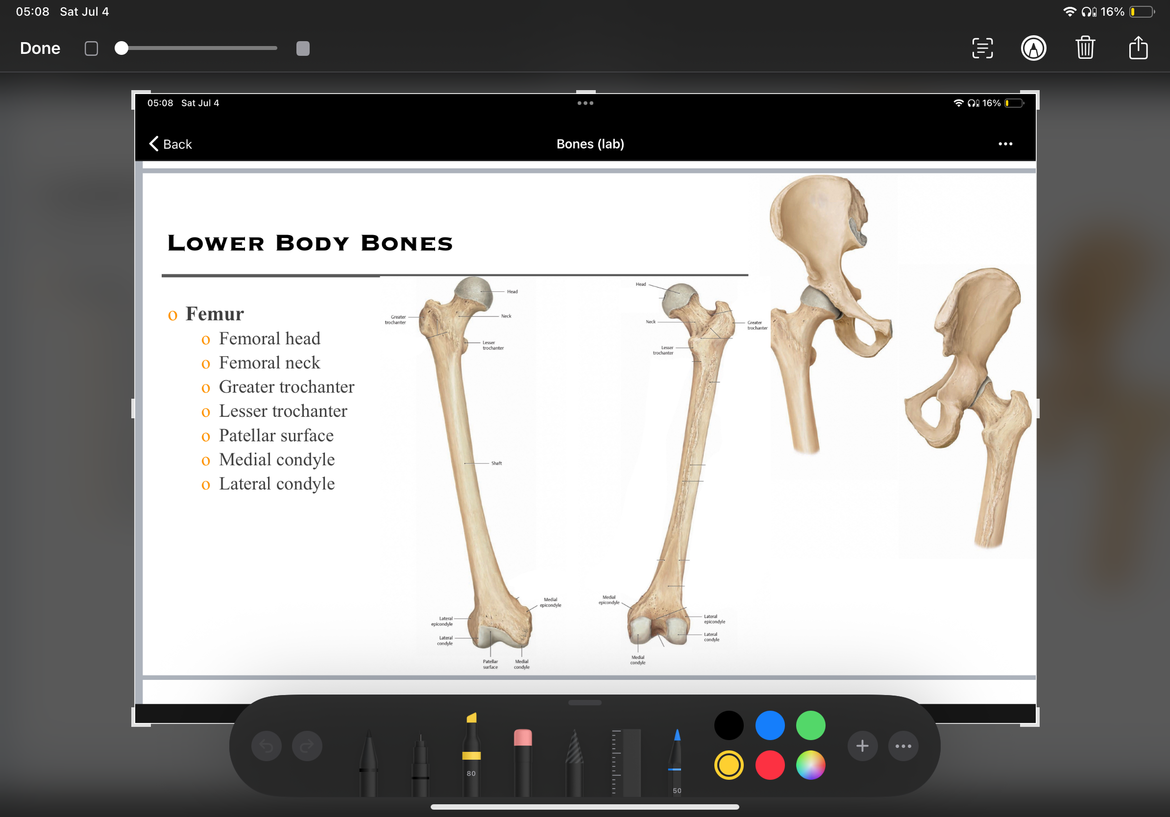 knowt flashcard image